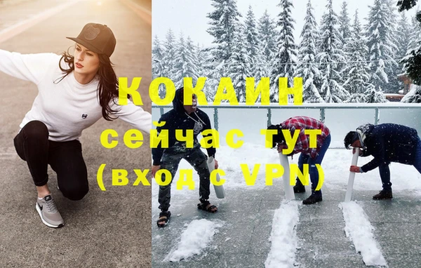 сатива Козельск