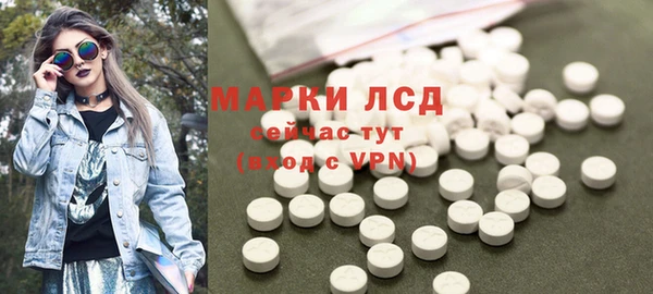 сатива Козельск